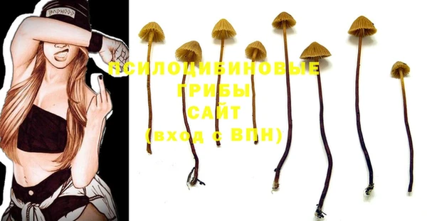 ALPHA-PVP Володарск