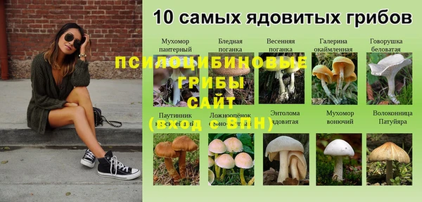ALPHA-PVP Володарск