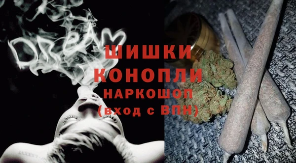 мдпв Волосово