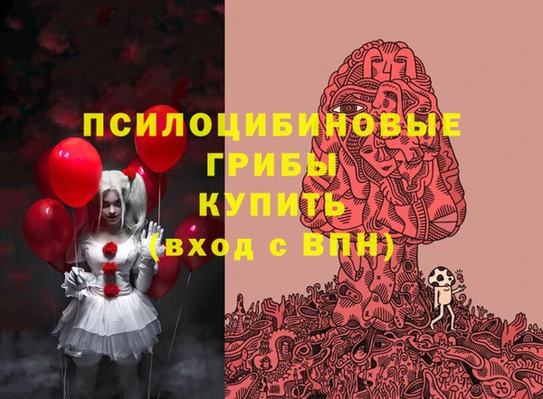 мдпв Волосово