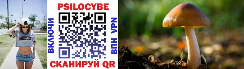 Галлюциногенные грибы Psilocybine cubensis  Купить закладки  Поворино 